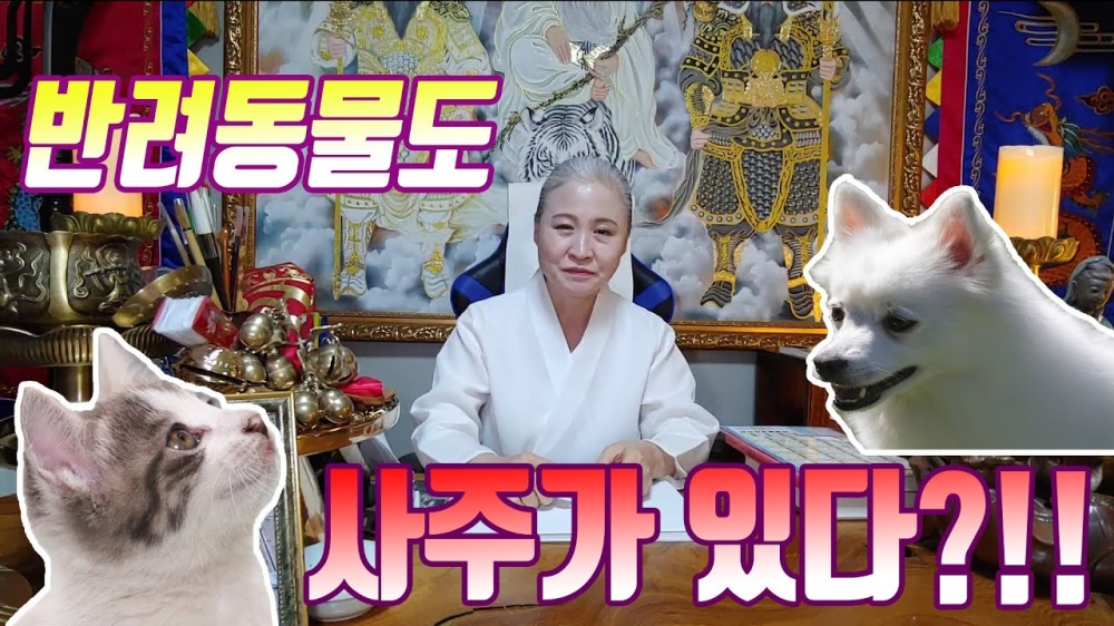 [천황별신녀] 반려동물도 사주가 있다?